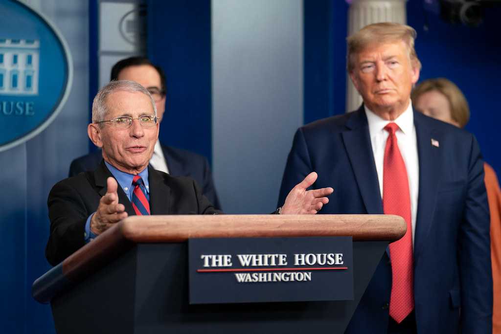 Anthony Fauci during the White House Briefing