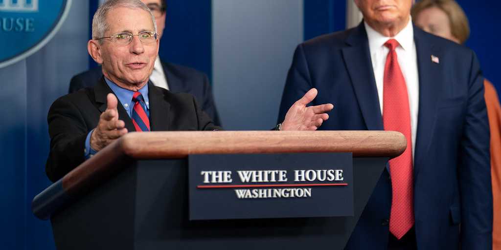 Anthony Fauci during the White House Briefing